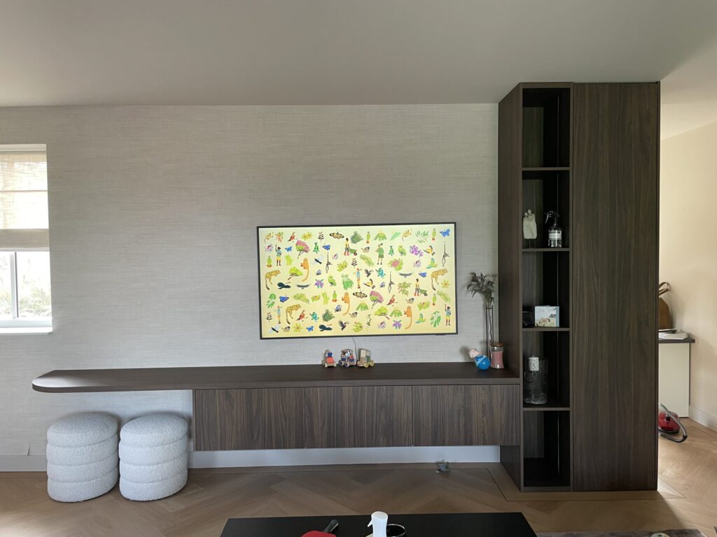 TV (73)